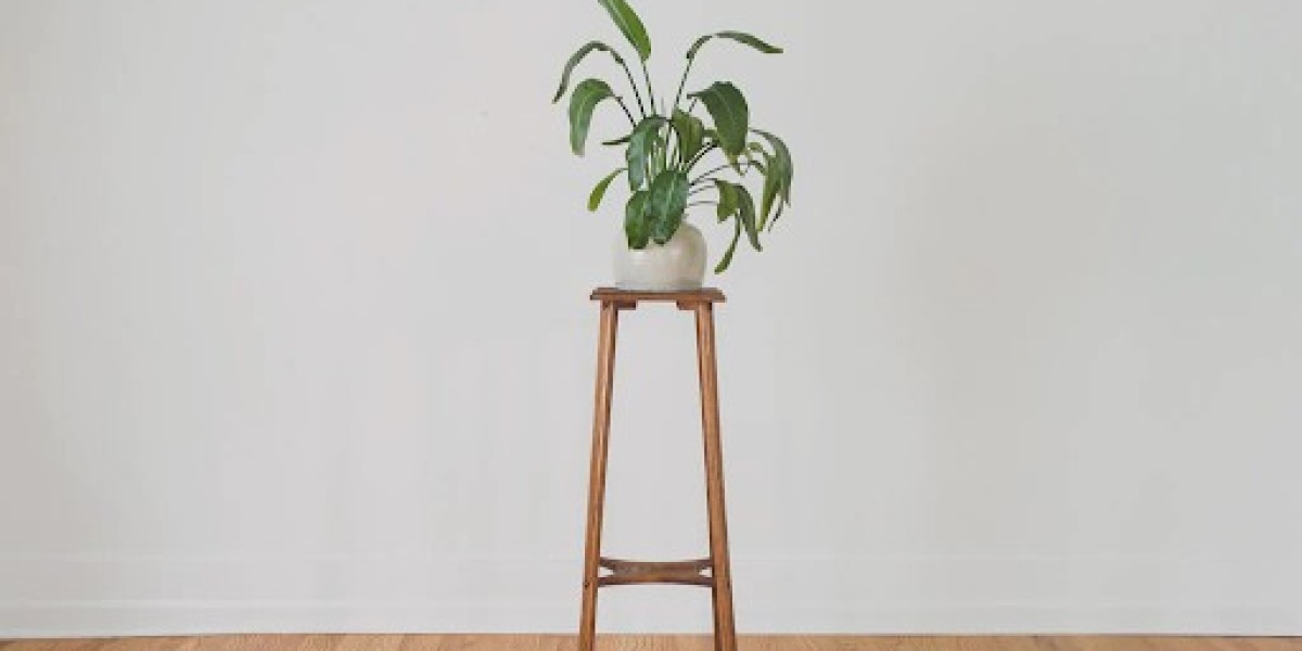 Elevate Your Greenery: Exploring Popular Tall Plant Stands