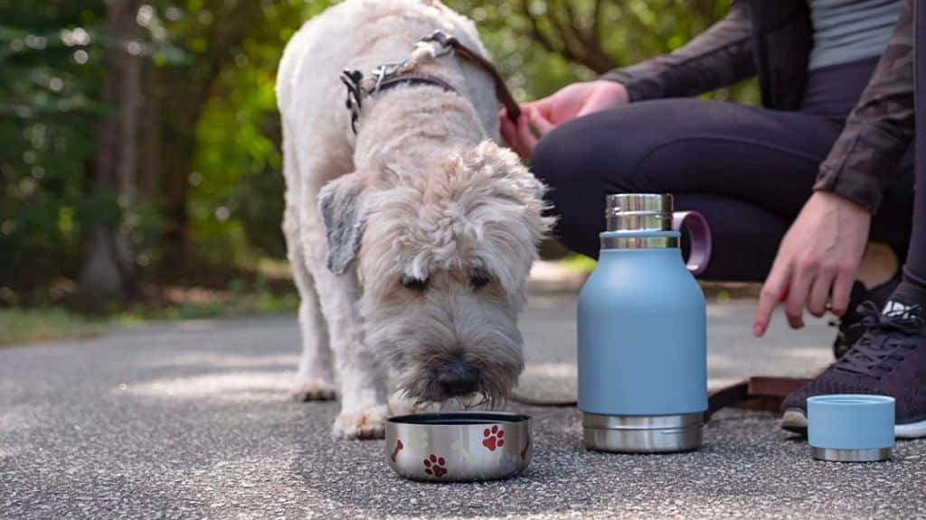 Best Gift for Dog Lovers AsobuBottle.com - Pitty Things