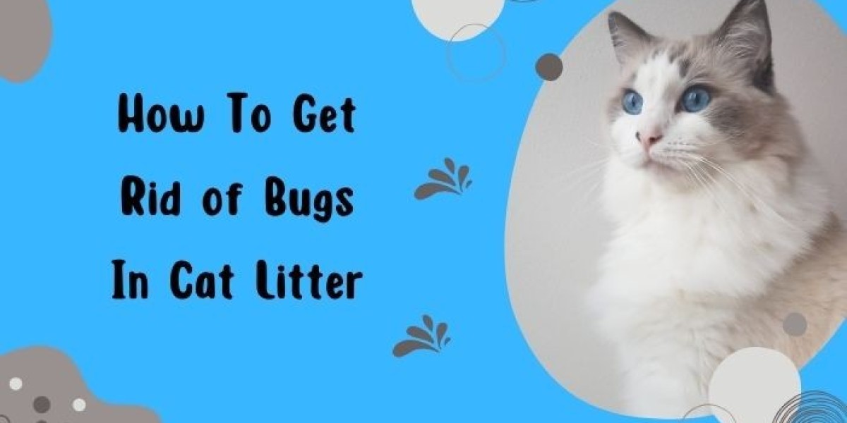 Uncovering the Hidden World: Bugs in Cat Litter and How to Deal with Them