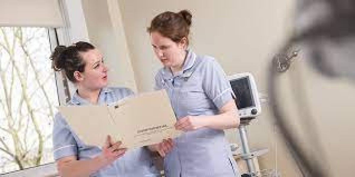"Empowering Future Nurses: The Impact of Buying Nursing Thesis Dissertation Writing Services"