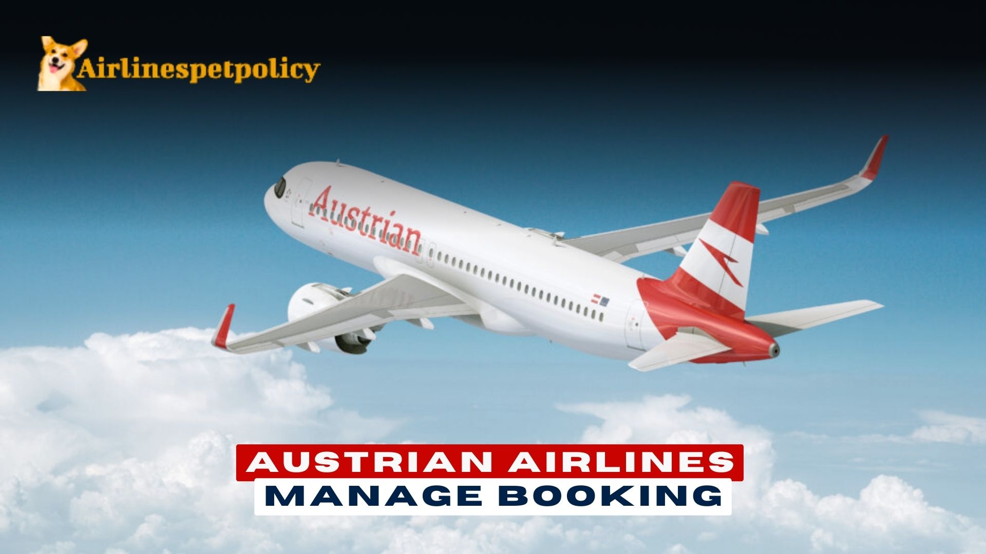 Austrian Airlines Manage Booking Policy & Fees