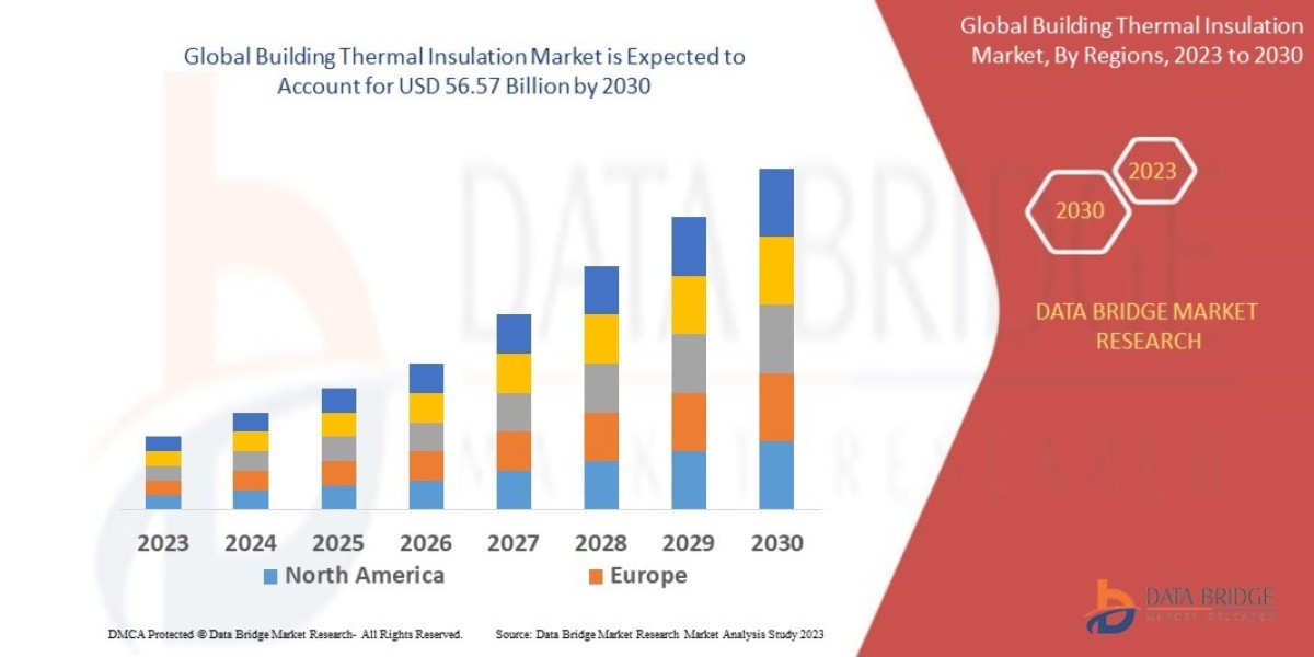 Building Thermal Insulation Market  Application,Trends, Demand, Growth, Challenges and Competitive Outlook