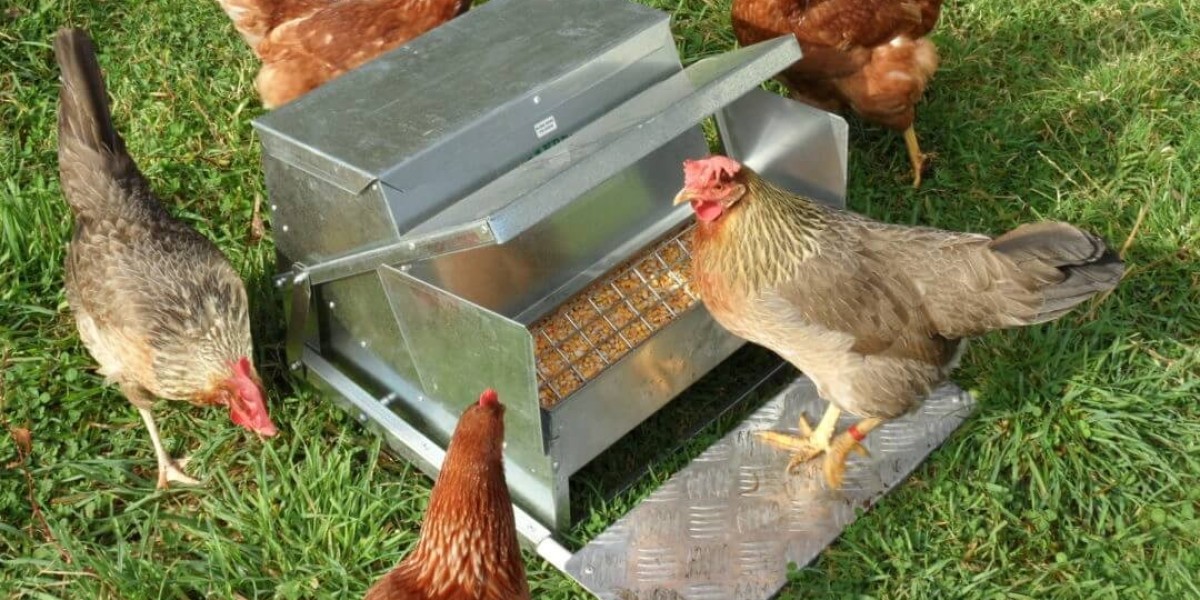 Elevate Your Poultry Paradise with Roosty Chicken Waterer and Feeder Set