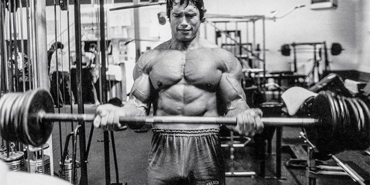 Mastering Arnold's Bodybuilding Techniques: A Blueprint for Success