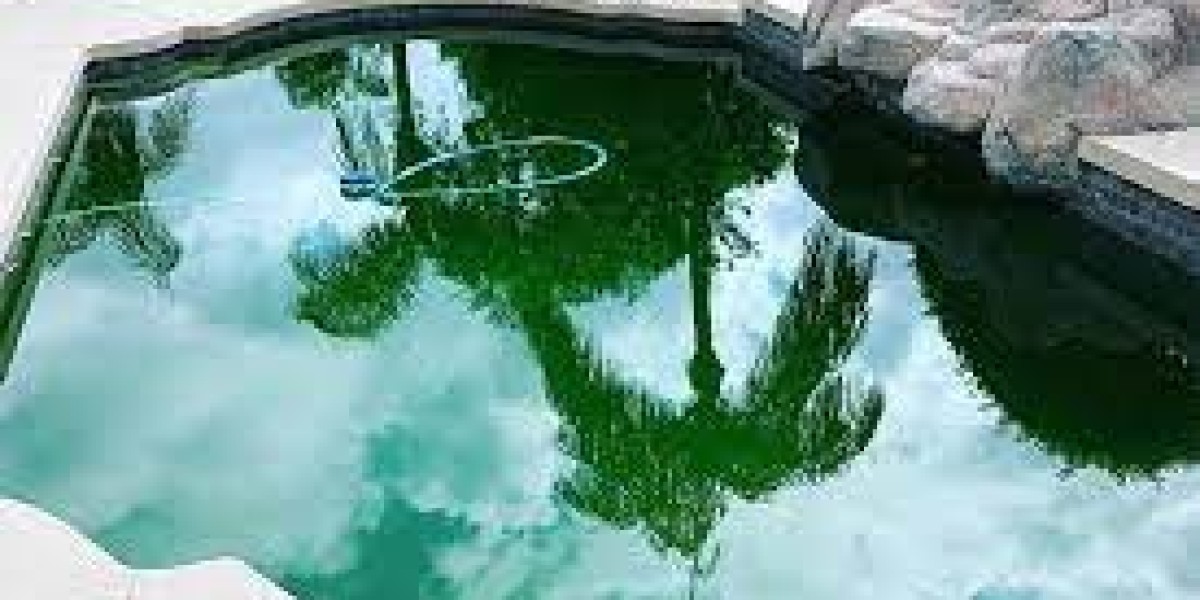 Pool Problems? Dive into the World of Hassle-Free Removal in Garland
