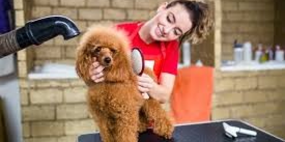 Mobile Dog Grooming in Dubai Delivers