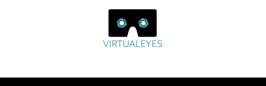virtualeyes Cover Image