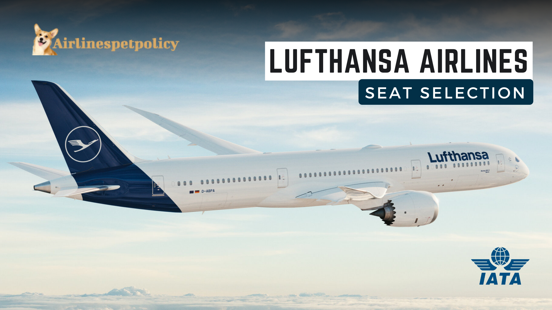 Lufthansa Seat Selection | Policy | Change | Upgrade | Fee