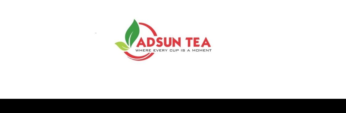 Adsun International Cover Image