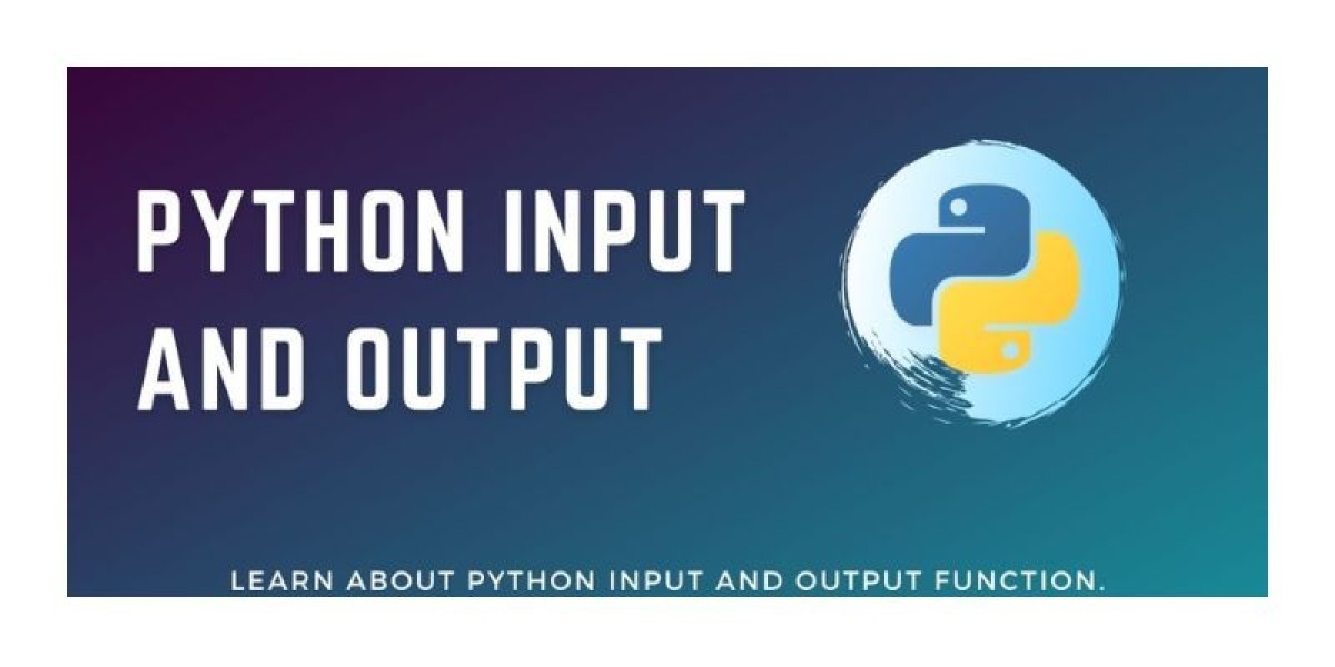 What Are Input and Output In Python?