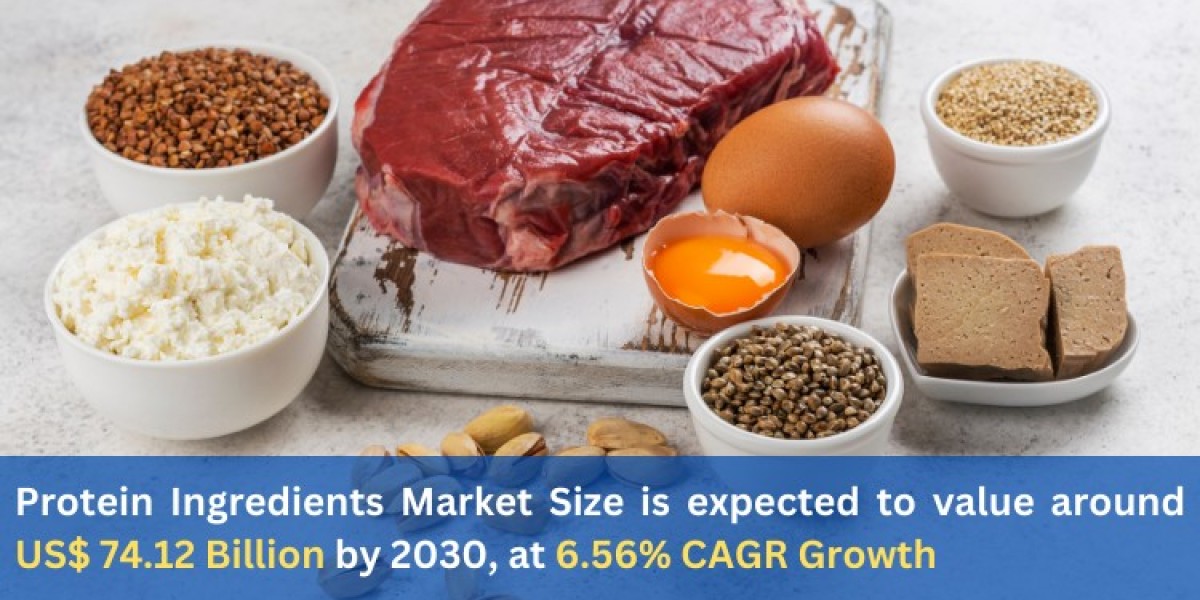 Protein Ingredients Market Size is expected to value around US$ 74.12 Billion by 2030, at 6.56% CAGR Growth