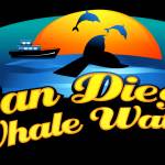 San Diego whale watch Profile Picture