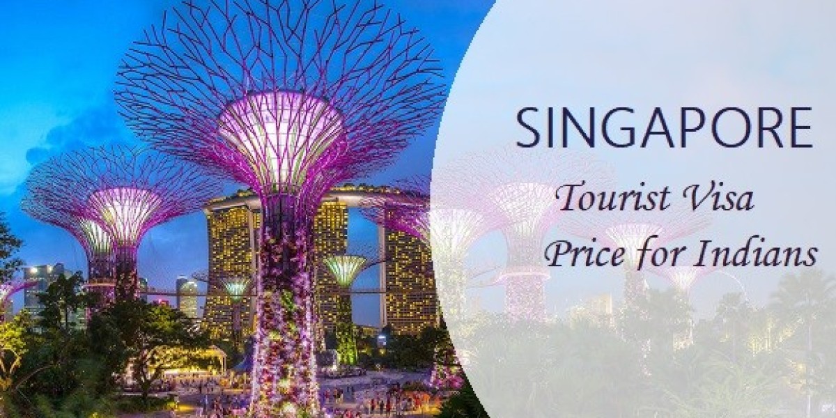 Decoding the Singapore Tourist Visa Price for Indian Travelers