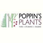 poppinsplants Profile Picture
