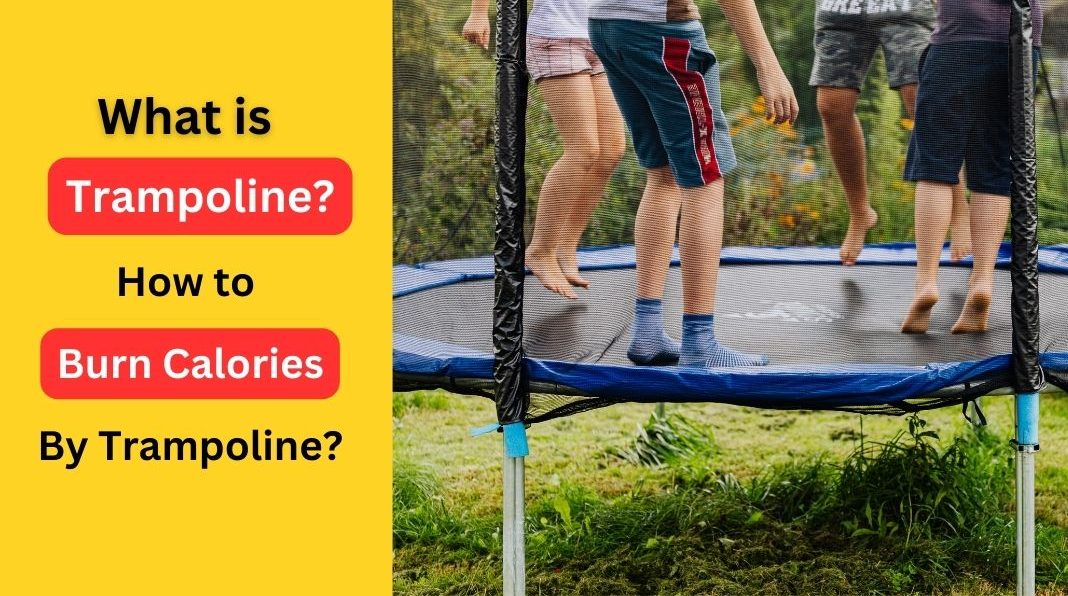 What is Trampoline? Complete Guide on Trampolines and Their Wonders - The Guide Blog