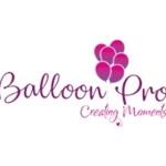 Balloon Decorators Bangalore Profile Picture