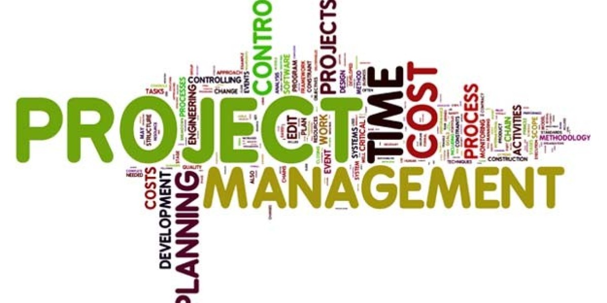 Beyond Basics | Excelling in Project Management with the PMI Course