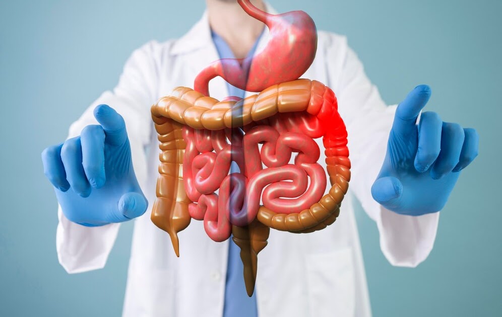 Masters of the Digestive System: Best Gastroenterologists Unveiled