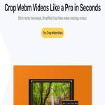 Crop webm Video Profile Picture