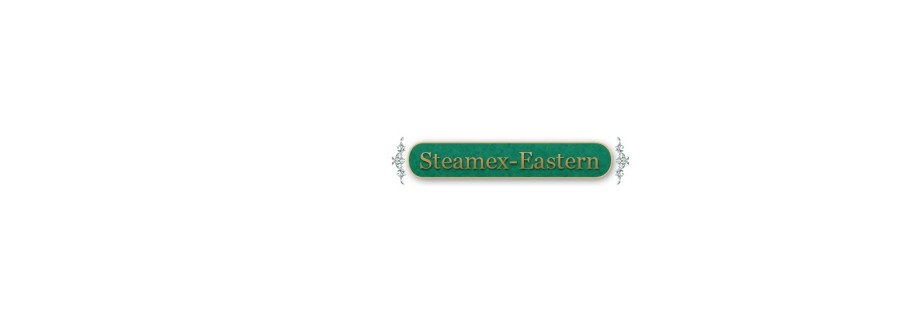 Steamex Eastern of Toledo Cover Image