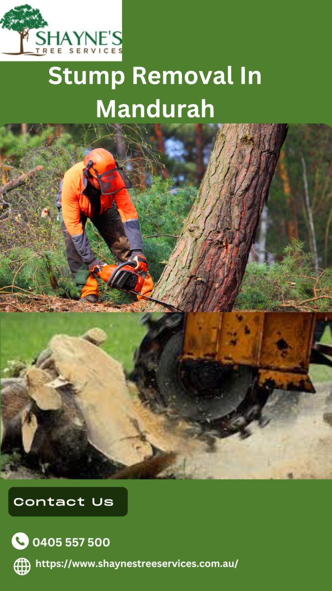 Revitalize Your Landscape: Shayne’s Tree Services for Expert Tree Pruning in Rockingham & Stump Removal in Perth – Shayne's Tree Services