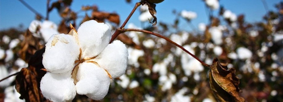 Bulk Cotton Cover Image