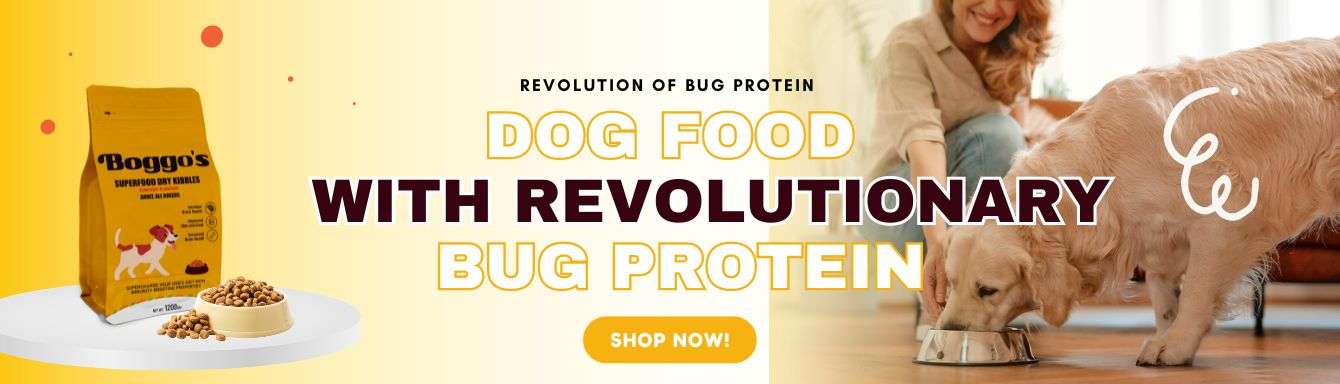Superfood Dry Kibbles For Adult | Insect High Protein Premium Dog Food