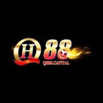 QH88 Capital Profile Picture