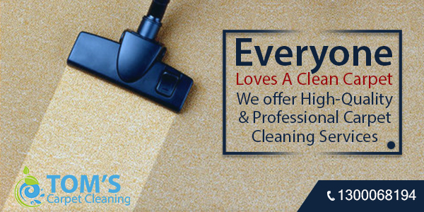 Steam Carpet Cleaning Croydon 3136 | Toms Carpet Cleaning