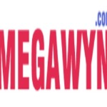 megawyn Profile Picture