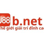 j88b net Profile Picture