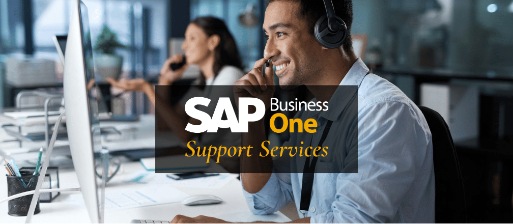 Cogniscient Business Solutions: SAP Business One Support Model