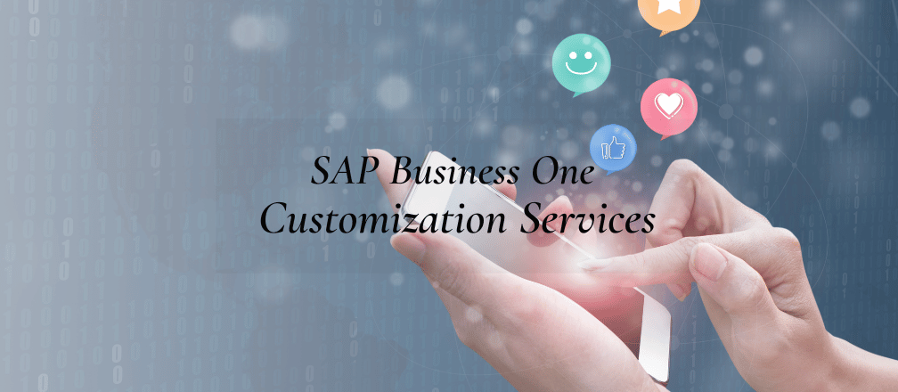 SAP Business One Customization Services - Cogniscient
