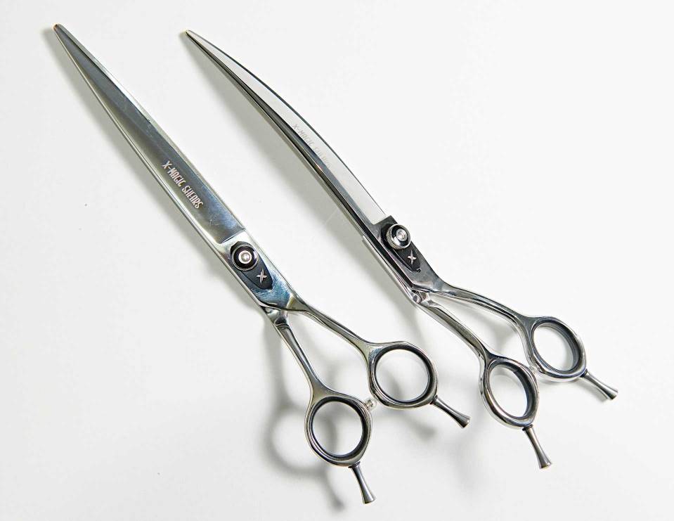 Best Dog Grooming Shears | Subscription Packages | And More