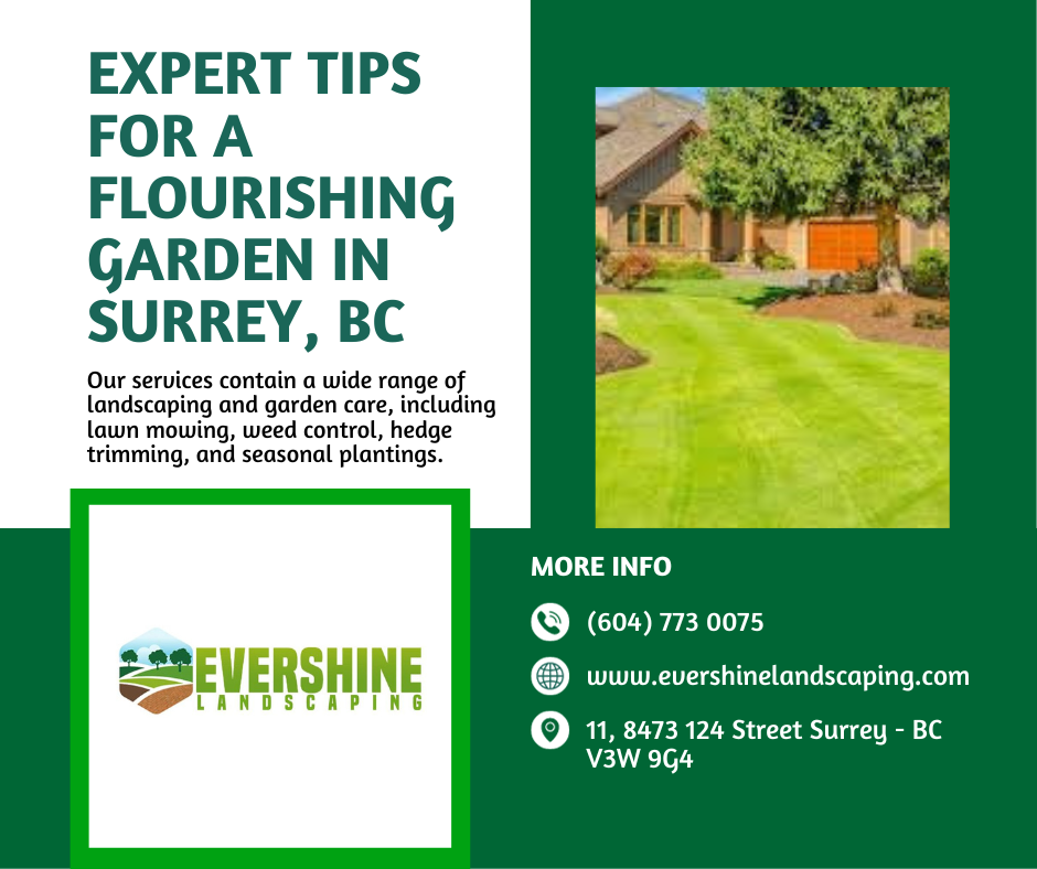 Revitalize Your Lawn With Leading Lawn Maintenance Company in Lower Mainland