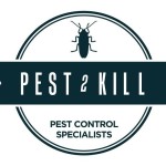 Pest 2kill Profile Picture