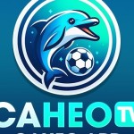 Caheo TV Profile Picture