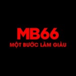 MB 66 Profile Picture