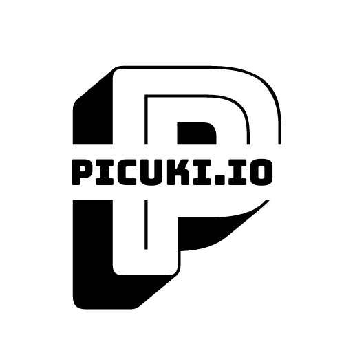 Picuki - Instagram Stories Anonymous Viewer & Downloader