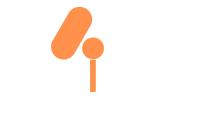 SEO Company in Jaipur | SEO Experts - Wiselok Tech Solution
