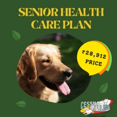 Senior Dogs Health Care Plan Profile Picture