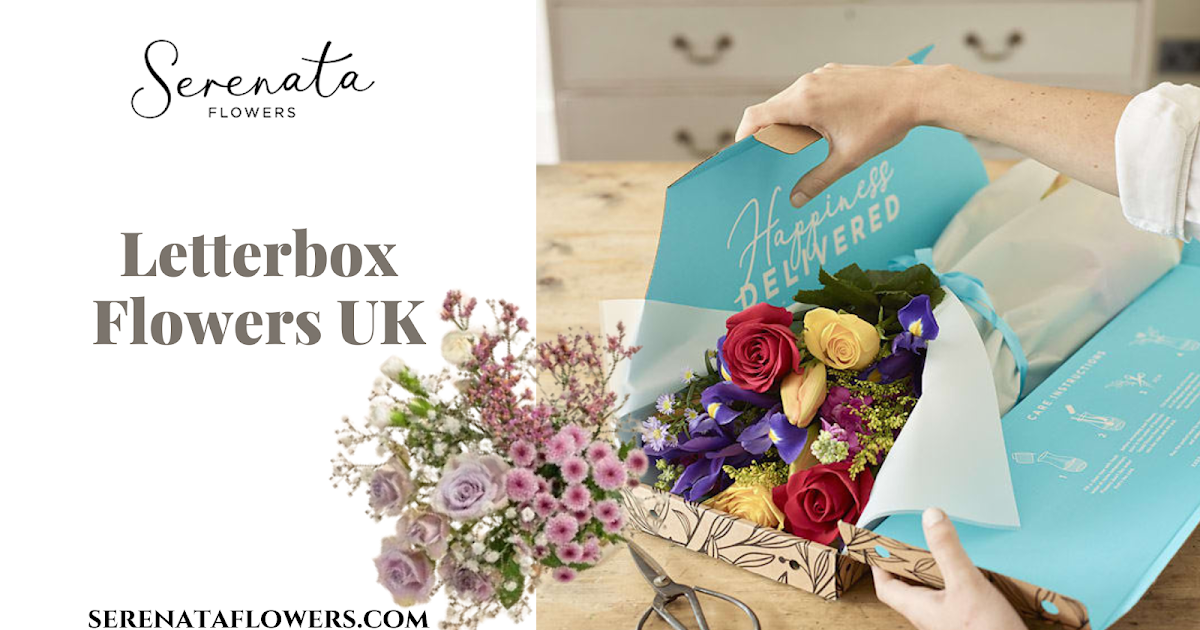 Serenata Flowers: Letterbox Flowers UK: The Perfect Surprise for Loved Ones