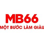 MB66 WORKS Profile Picture