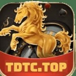 TDTC03F COM Profile Picture