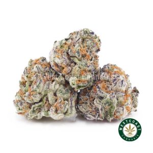 Popcorn Buds Archives - West Coast Cannabis
