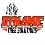 dynamic treesolutions Profile Picture