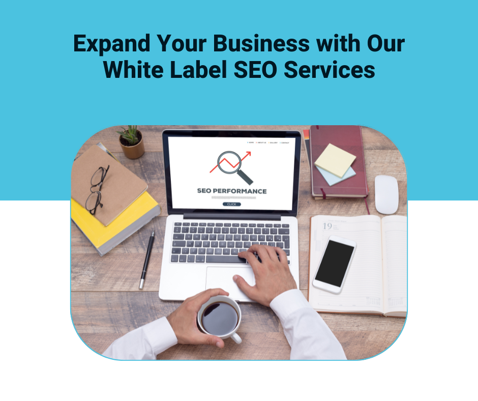Link building for white label SEO services and agencies by Indeedseo | TheAmberPost