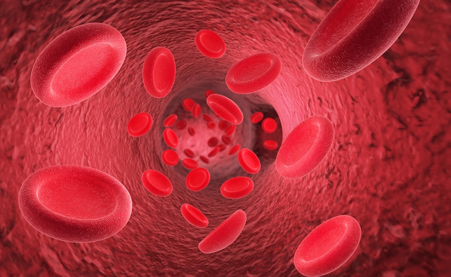 Understanding MCHC in Blood Tests: A Vital Indicator of Overall Health | TechPlanet