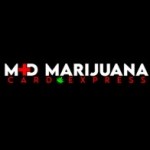 Md Marijuana Card Express Profile Picture