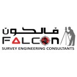 Falcon Survey Profile Picture